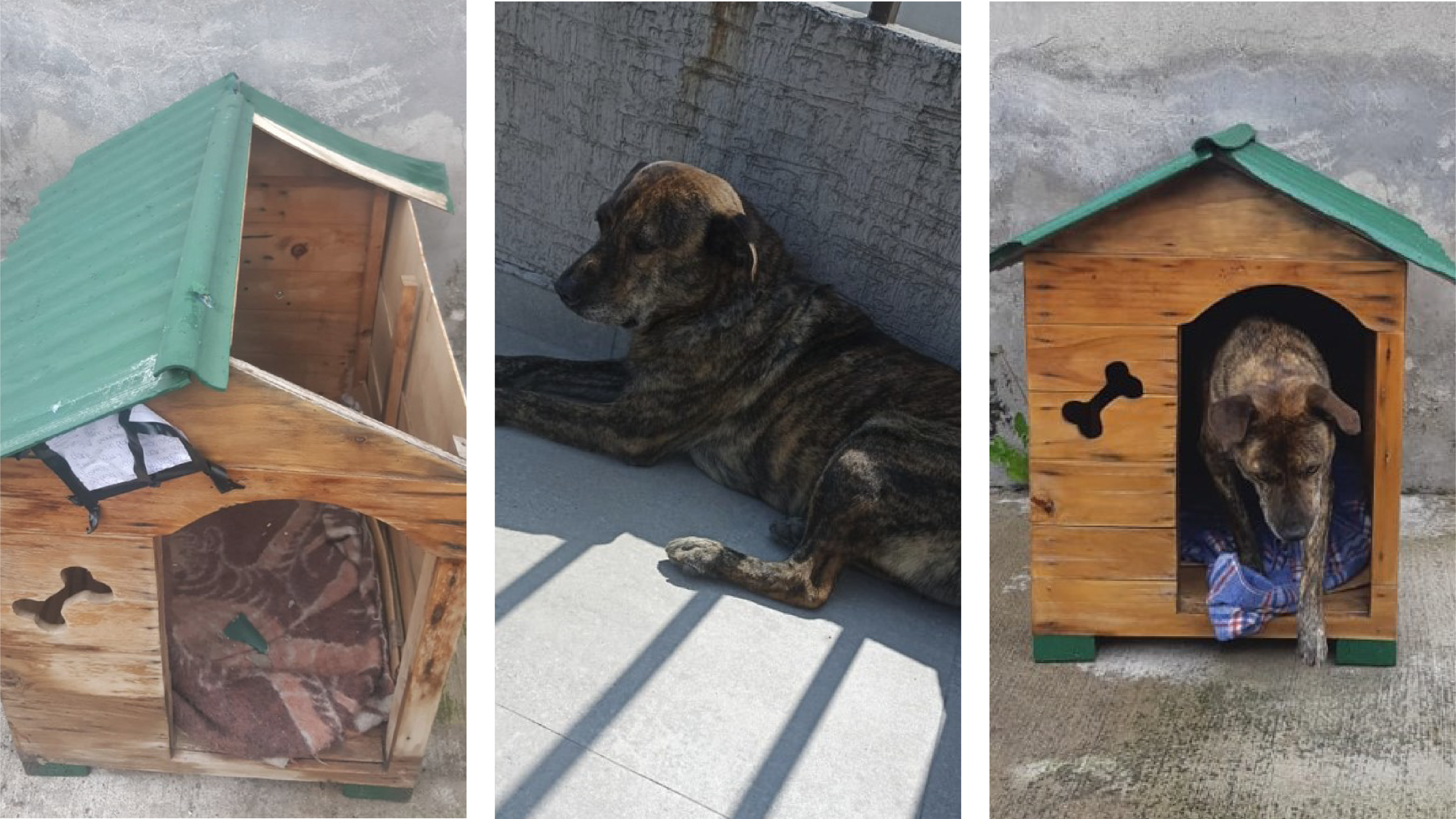 Situación Manchas en Quito