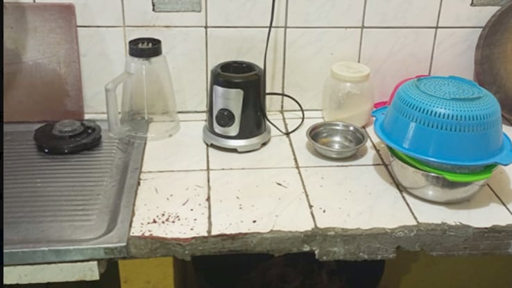 Clausuran un chifa en Guayaquil por presencia de plagas