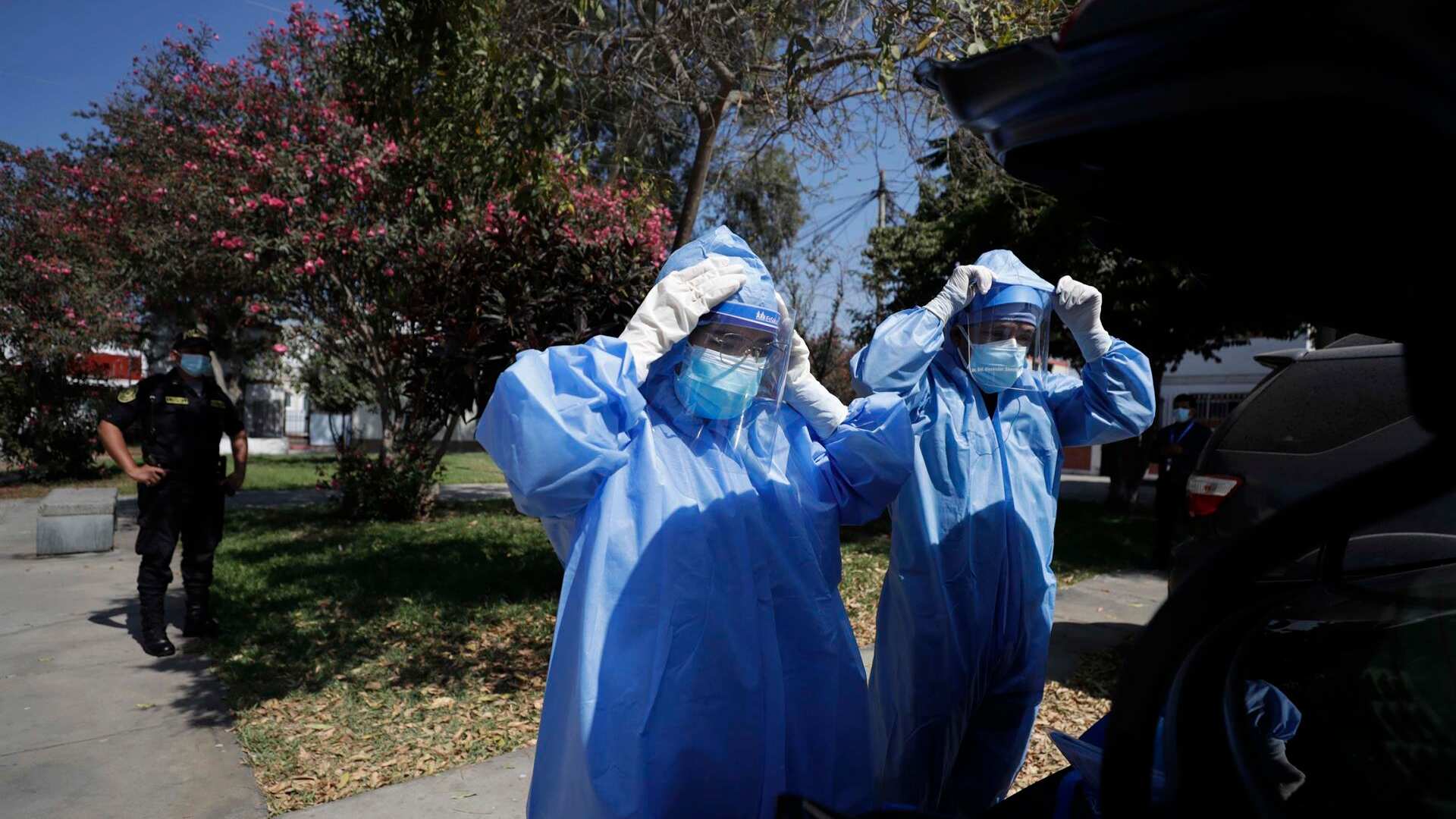 gamma del virus causante del covid-19