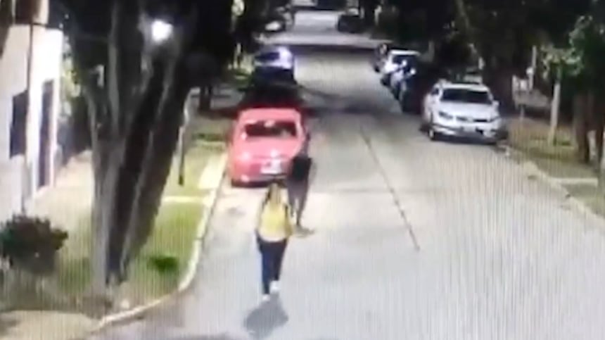 Hombre agredió a una mujer por la espalda con una patada karateca para robarle