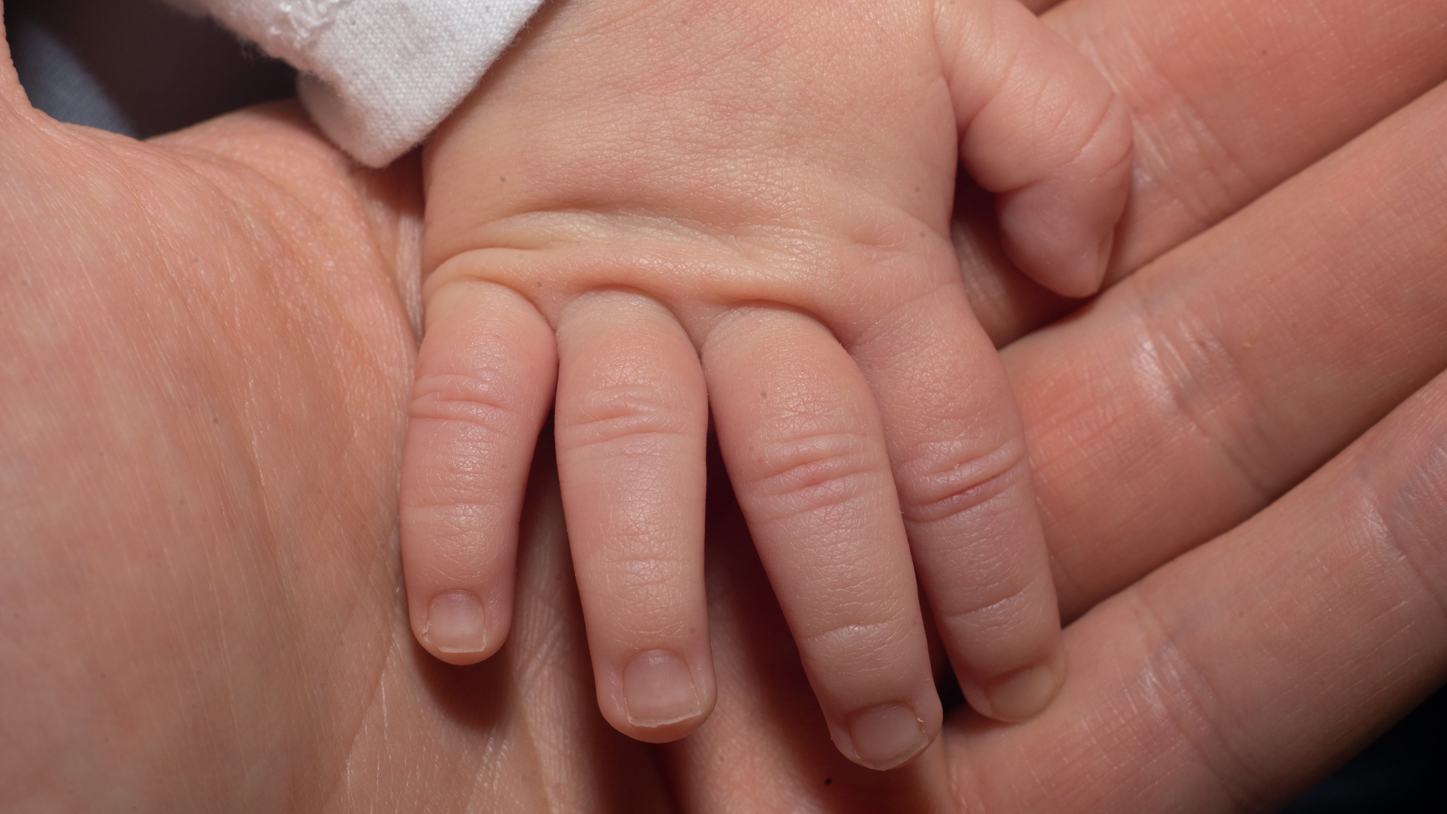 La tasa de fecundidad se ubica en 1,79 hijos por mujer y marca un cambio histórico en la estructura poblacional del país.