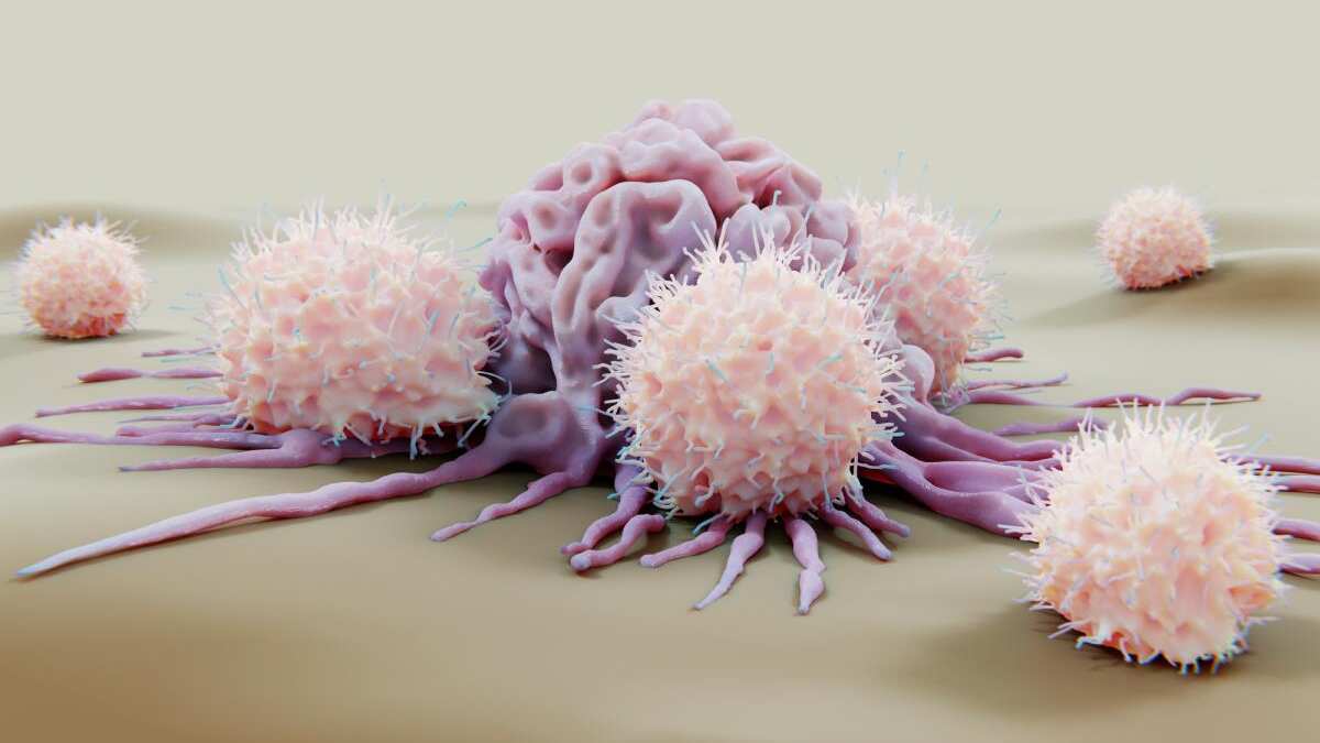 Ilustración de células atacando una célula cancerosa