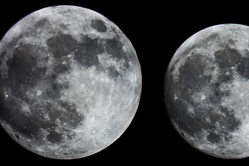 Elon Musk quiere construir una ciudad en la Luna y así lo hará