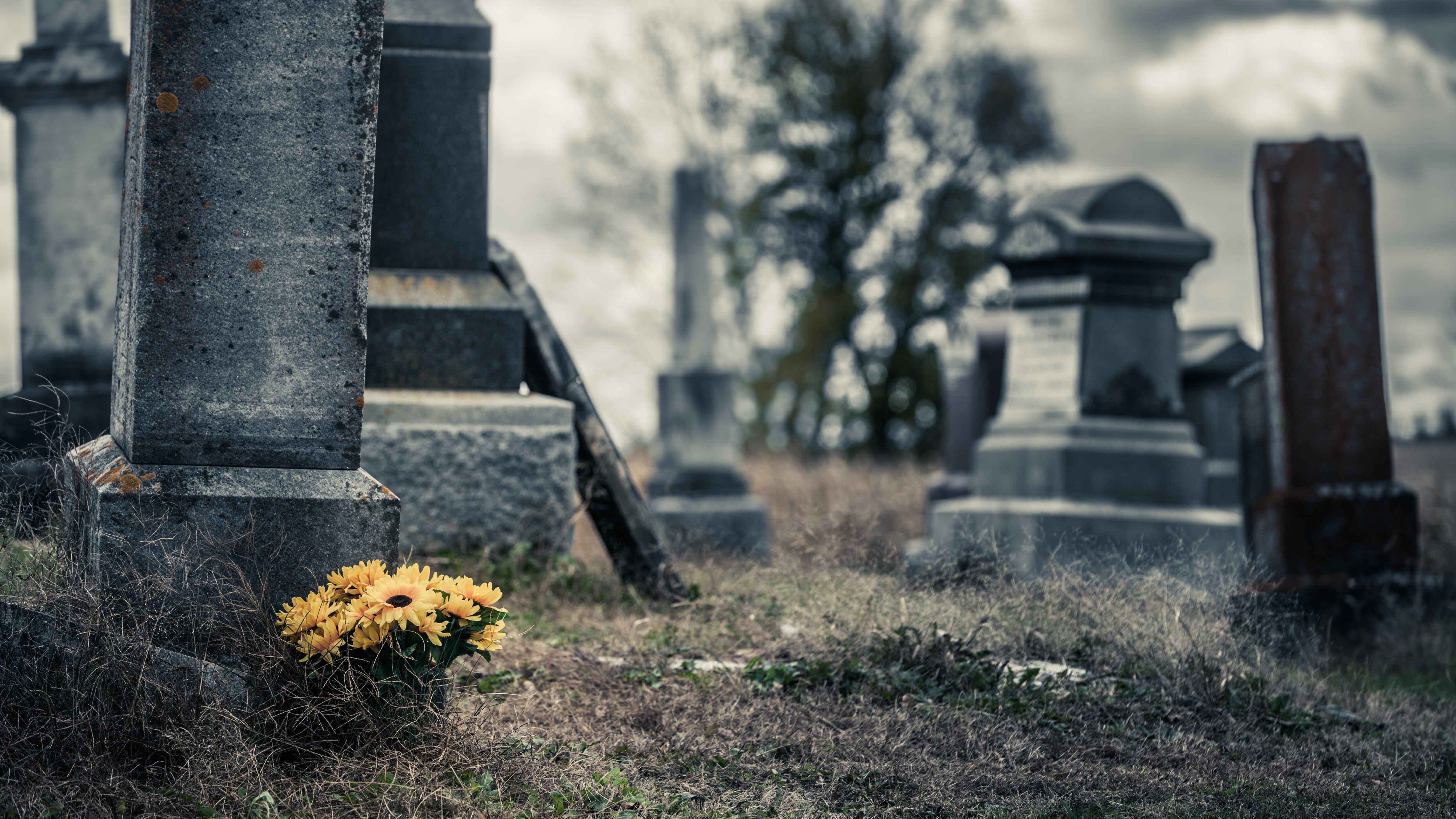 Ramo de girasoles en un triste cementerio