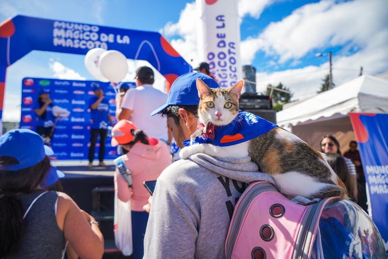 Caminata de Mundo Mágico de la Mascota