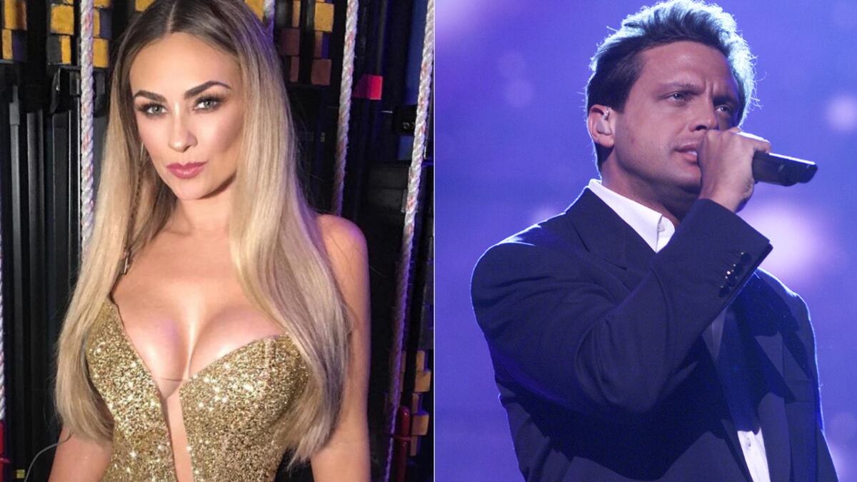 El abogado de Aracely Arámbula habría revelado información que cambiaría toda la pelea legal entre ella y Luis Miguel.