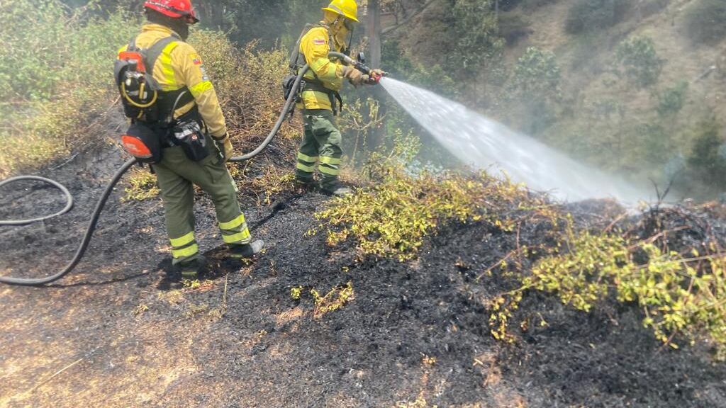 Incendio forestal se registró en el sector de El Bosque, norte de Quito