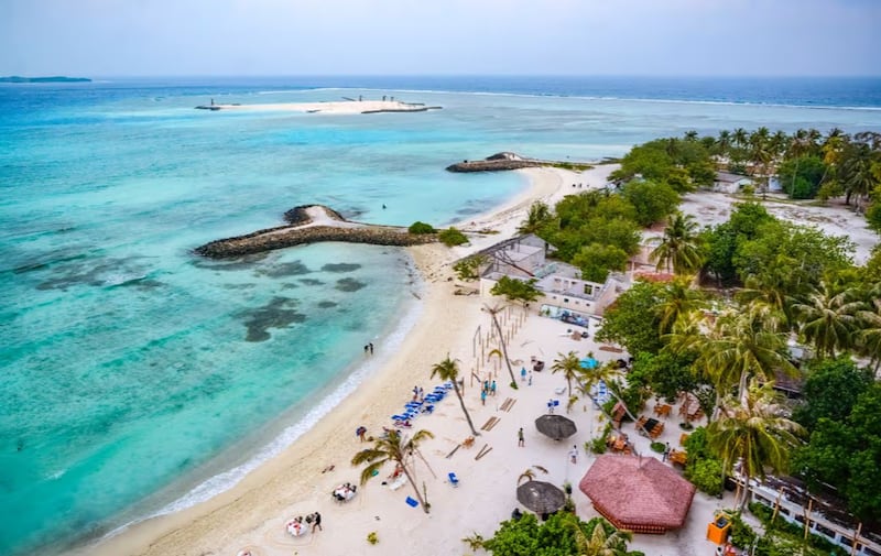 Un hombre recién casado lucha por su vida tras un terrible ataque de tiburón durante su luna de miel