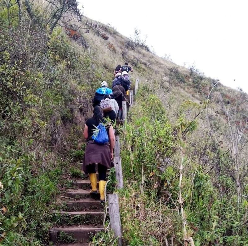 Bomberos confirmaron que el niño desaparecido en el cerro Puñay fue hallado con vida tras tres días de intensa búsqueda.
