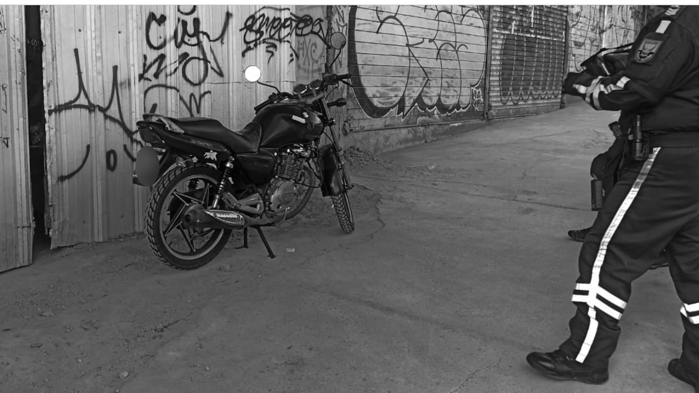 ¿Quién era el hombre que fue hallado sin vida suspendido en un árbol en Quito?