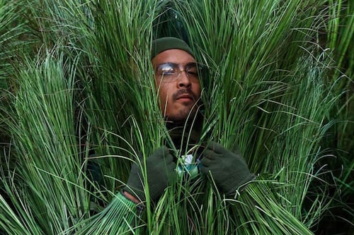 Disfraz de arbusto usado en el medio tiempo de Bad Bunny sale a la venta: ¿Cuál es su precio?