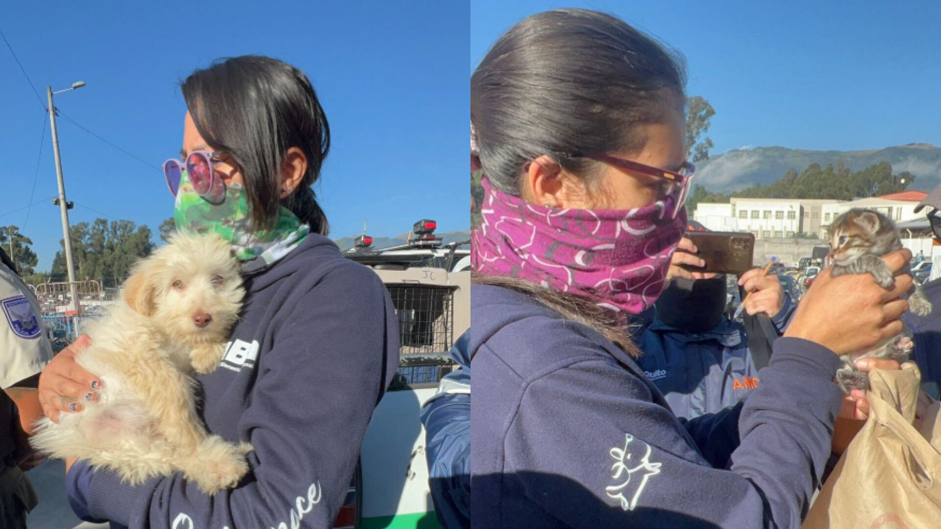 Perritos y gatitos eran vendidos en costales en el sur de Quito: ocho fueron rescatados