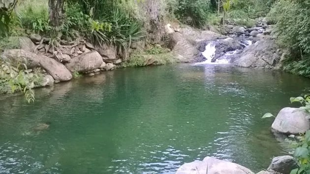 Laguna el Guabo. Puyango