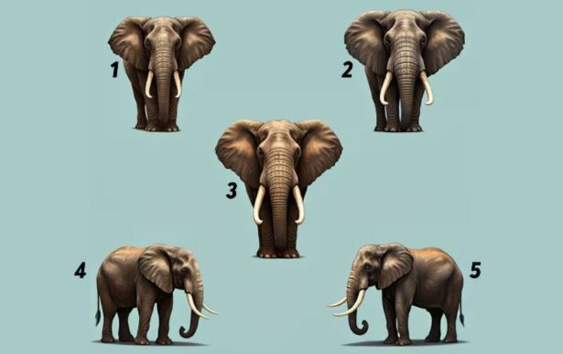 Imagen del test visual