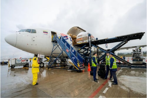 LATAM Cargo prevé transportar cerca de 13 mil toneladas de flores durante este San Valentín