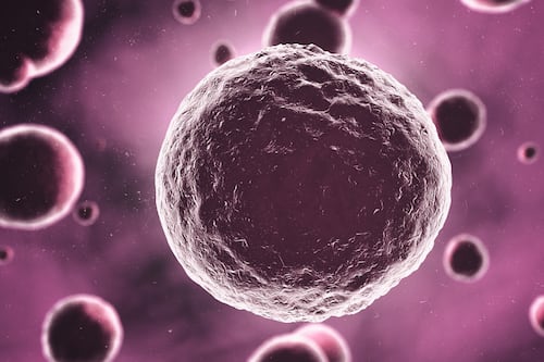 OMS revela los hábitos que ayudan a prevenir distintos tipos de cáncer