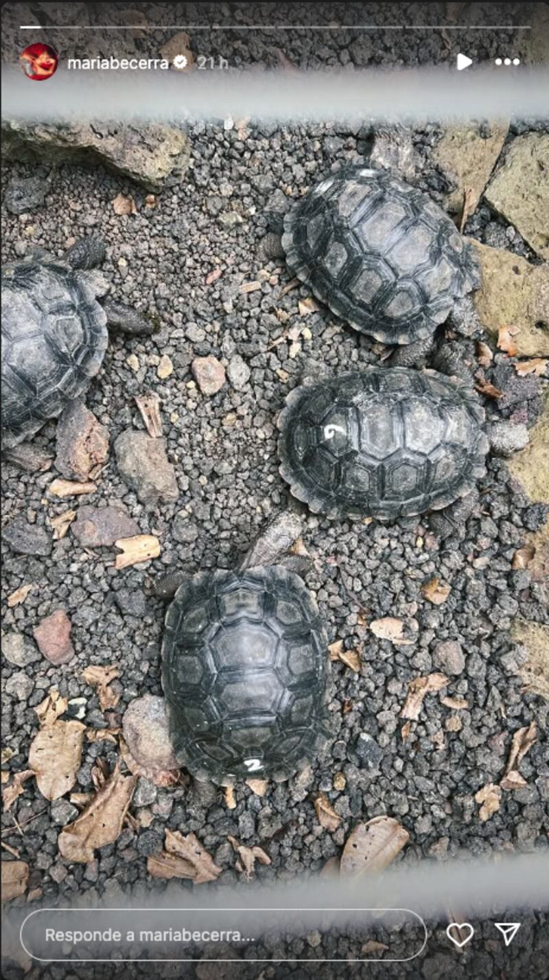 Las fotos de María Becerra disfrutando de las Islas Galápagos