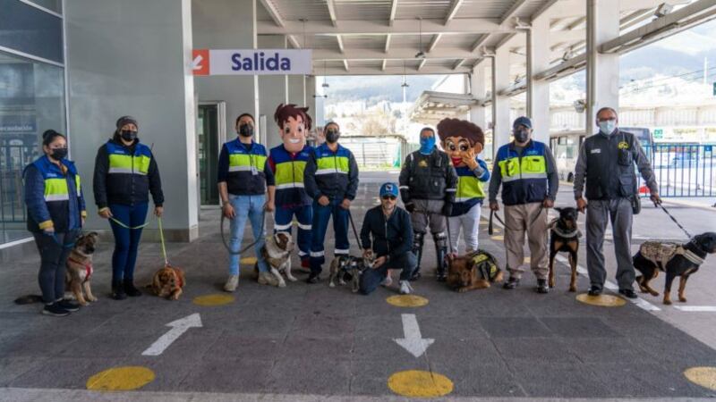 ¡Adoptaron a perritos callejeros! En el Trole y la Ecovía los verás parte del grupo de vigilancia