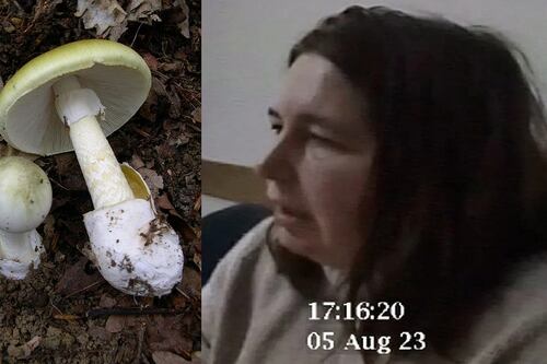 La excusa de una mujer para reunir a su familia y envenenarlos con el hongo de la muerte en Australia