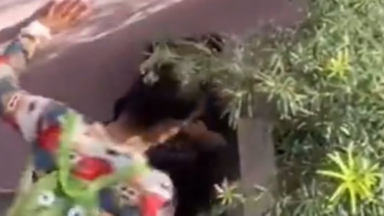 Ocurrió en República Dominicana Foto: X @HazimNoelia