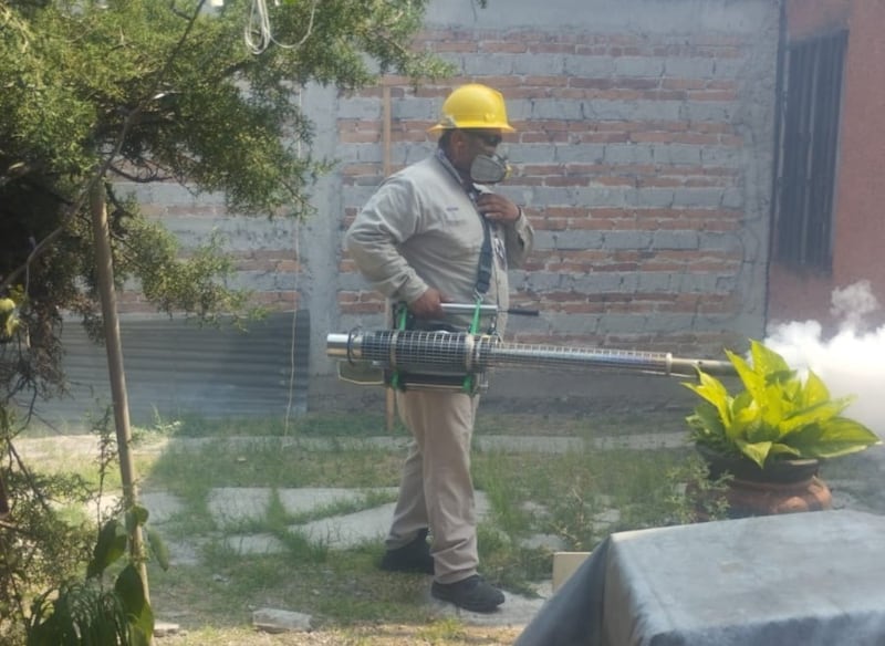 Trabajos de fumigación para prevenir dengue.