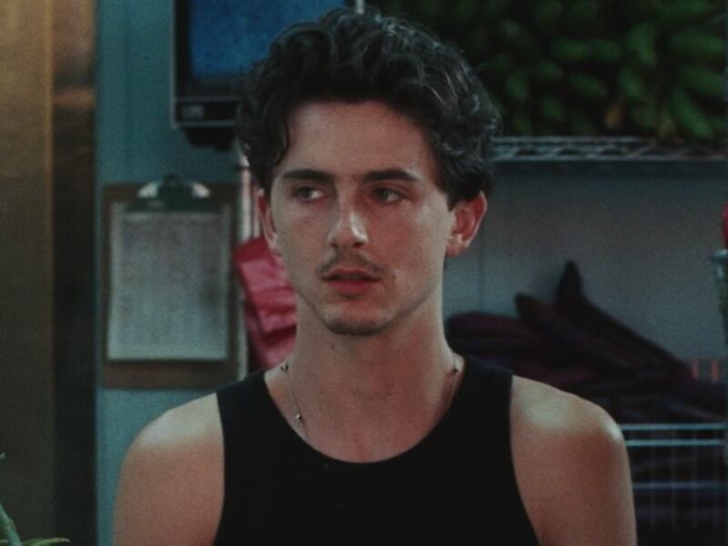 Exactriz de cine para adultos indicó que fue abandonada por Timothée Chalamet