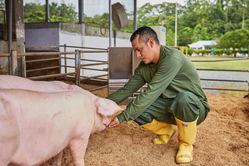 Producción responsable que procura el bienestar de las especies bajo los cinco principios de bienestar animal.