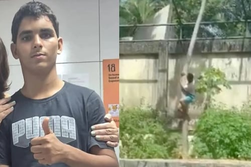 De esto padecía el joven que entró a la jaula de una leona y murió atacado