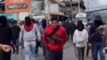 ladrón obligado a caminar con vaca robada