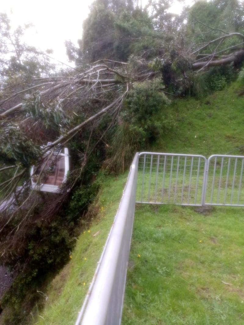 Cayó un árbol de gran tamaño en el teleférico de Quito