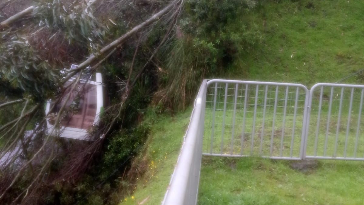 Cayó un árbol de gran tamaño en el teleférico de Quito