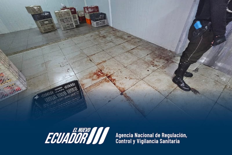 ¡Cucarachas vivas! Clausuran servicio de catering al norte de Guayaquil - Fuente: ARCSA
