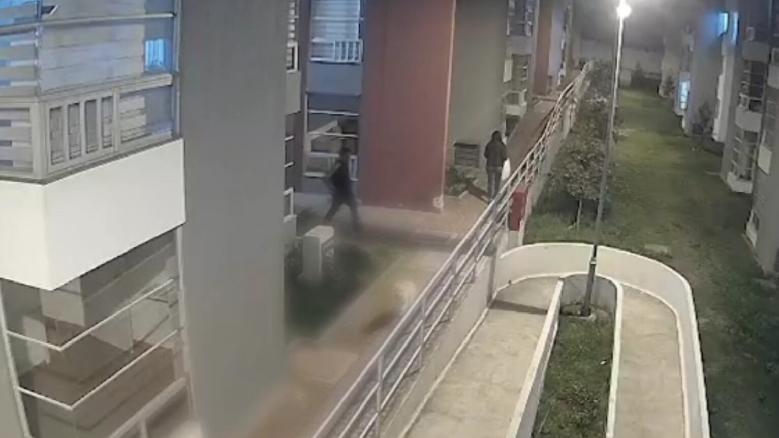 Inician sanción a un ciudadano por maltrato animal tras denuncia ciudadana en Calderón, Quito