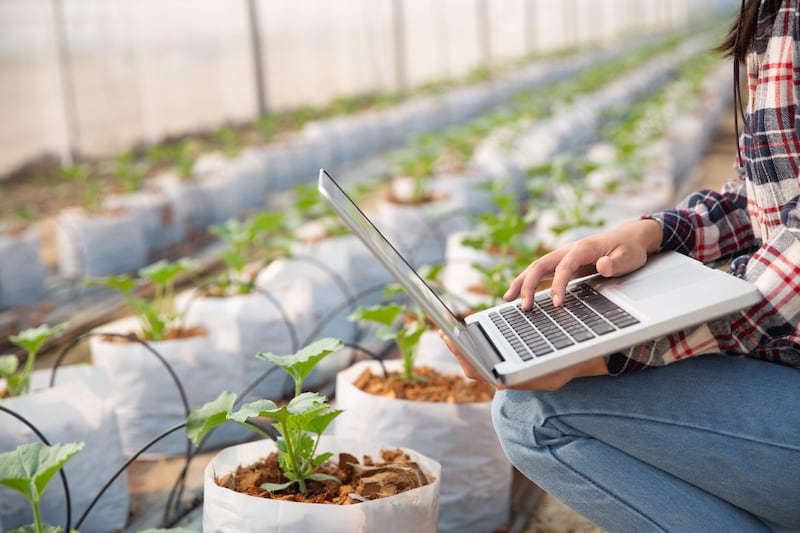 Earth IoT y Microside ganaron el Fondo AT&T 5G por sus innovadoras soluciones que ya están reduciendo costos, optimizando procesos y haciendo más sostenibles a las empresas del país