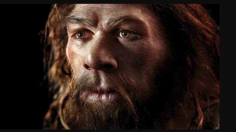 Revelan que el ADN neandertal viene de un cruce entre humanos y neandertales que duró 7.000 años