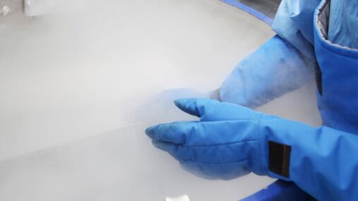 Empresa ofrece congelar tu cuerpo para despertar en el futuro