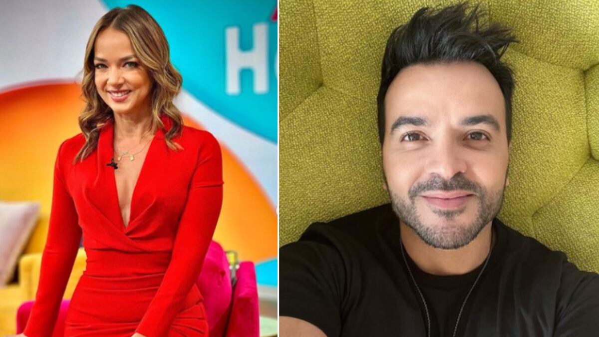 Adamari Lopez y Luis Fonsi se divorciaron en 2010.
