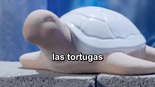 Tortuga de Galápagos nos representa en el Mundial de Objetos.