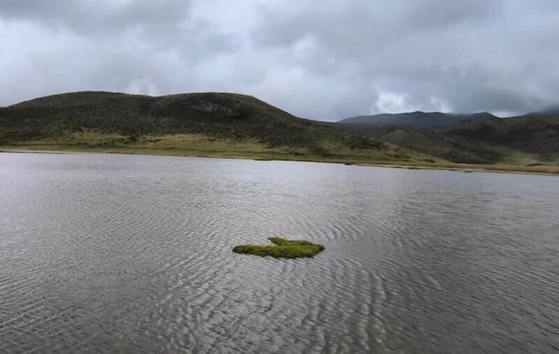 Feriados en Ecuador