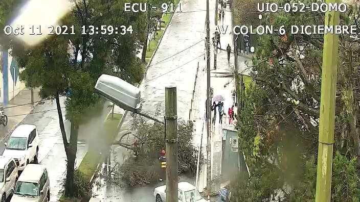 Caída de árbol en Quito por lluvias