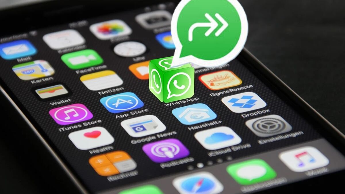 Doble flecha WhatsApp