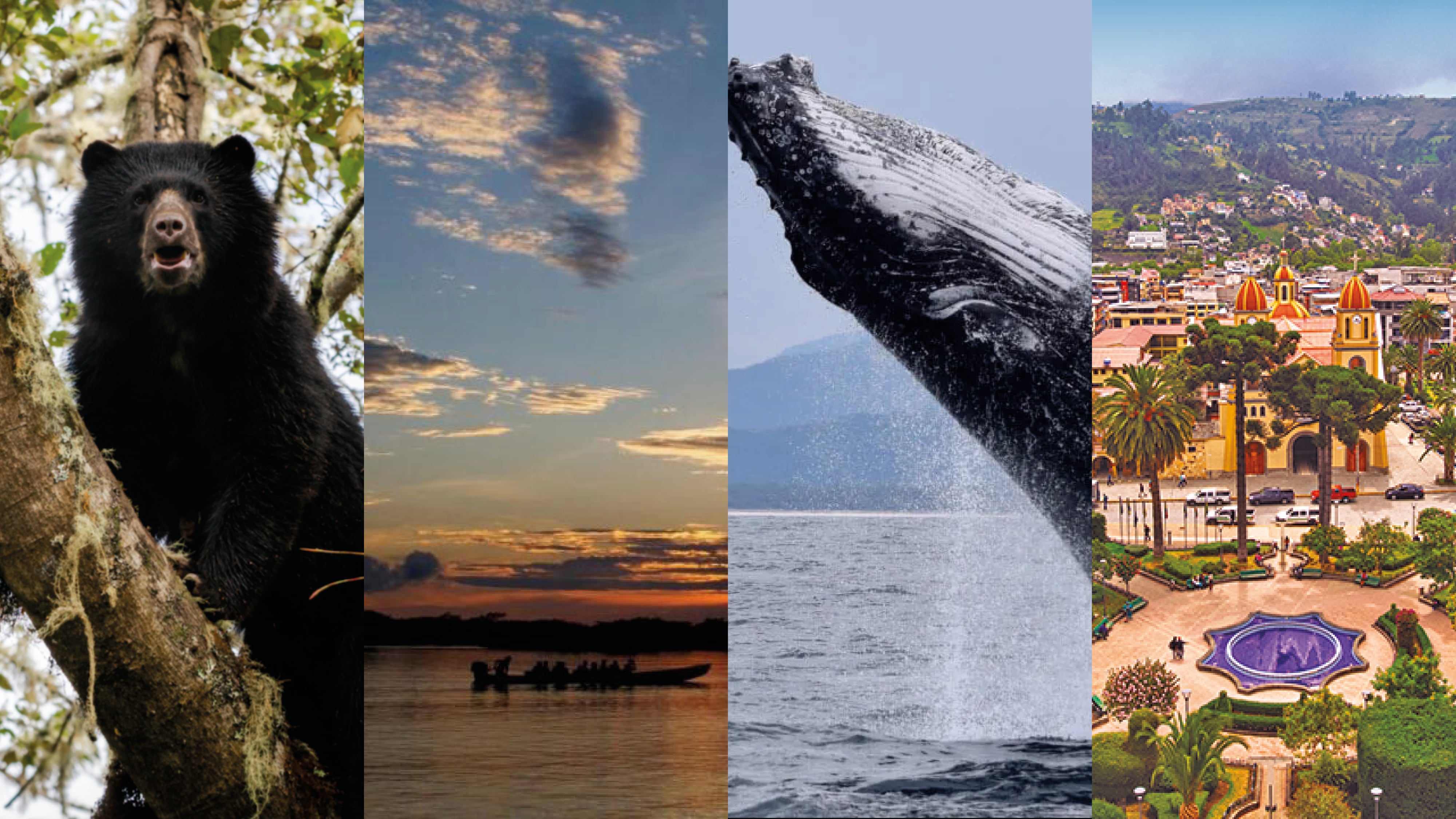 Los destinos de Ecuador que serán tendencia turística en 2026