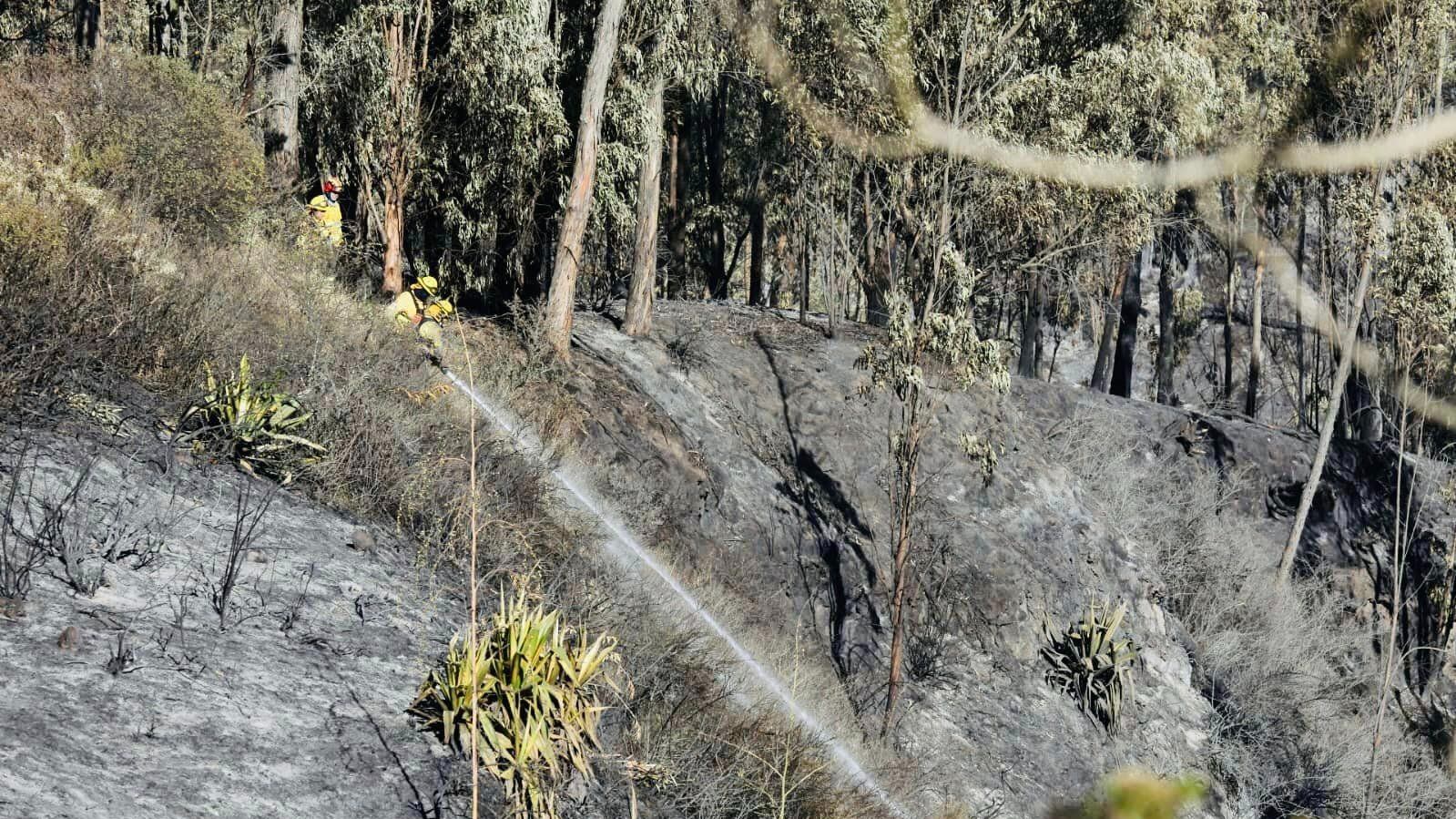 Incendios en Tababela y Puembo