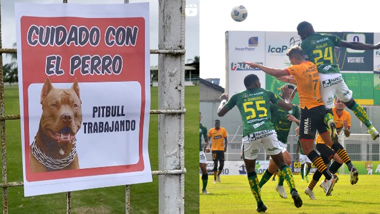 Orense anuncia su nuevo fichaje