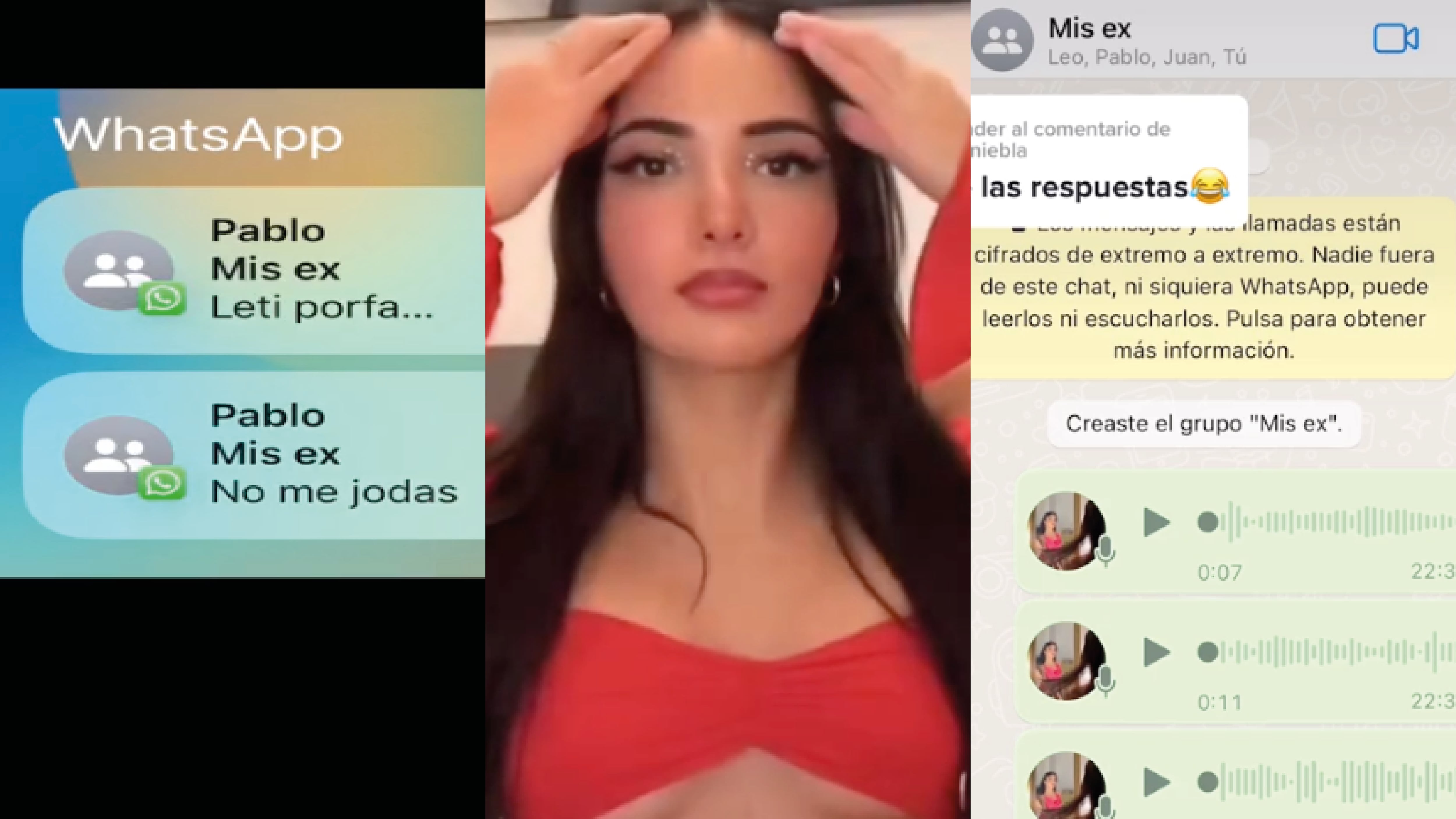 Grupo que la TikToker creó para sus ex