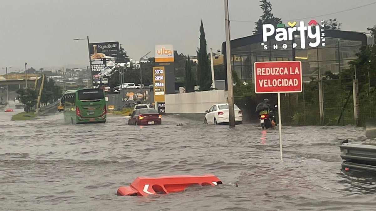 Ruta viva inundada