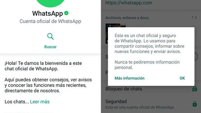 WhatsApp-chat-oficial