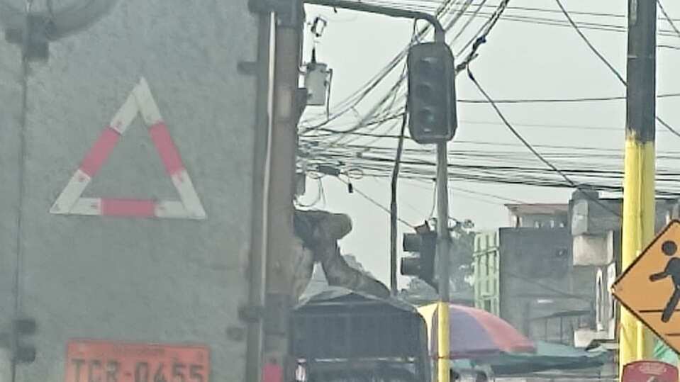 Captaron a un oso perezoso atado y colgado en camión en la vía a Santo Domingo