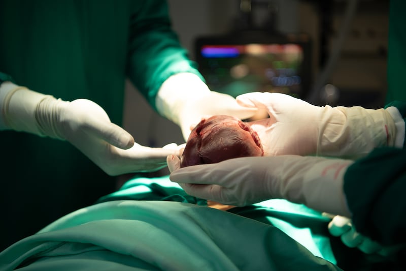 Nació con 300 gramos y sobrevivió: el milagro alemán que asombra al mundo