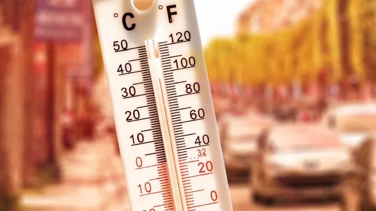 Imagen tomada de la página oficial de la OMS